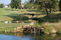 Golf Course Features